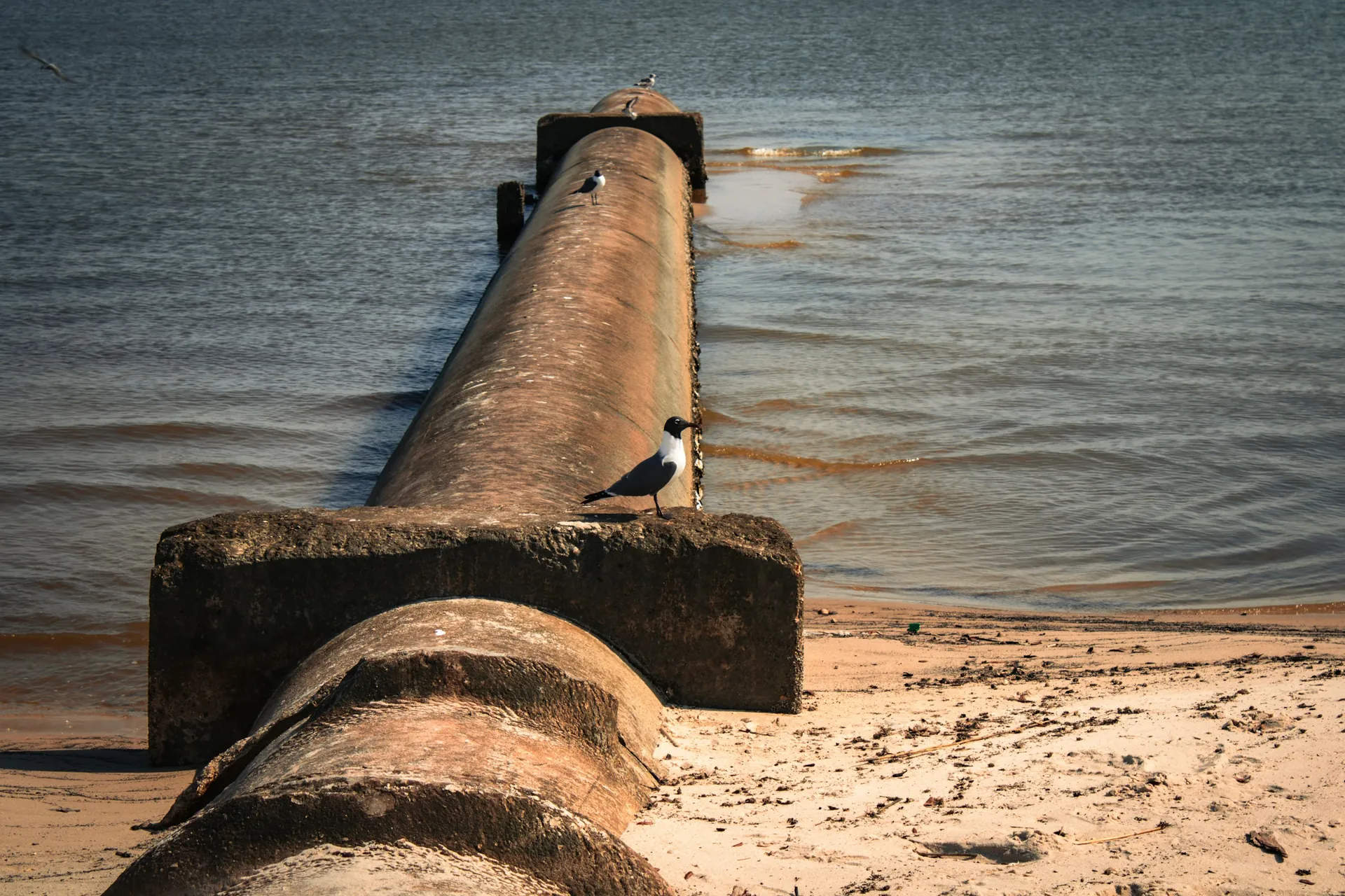 Large pipe extending from the shore into the water