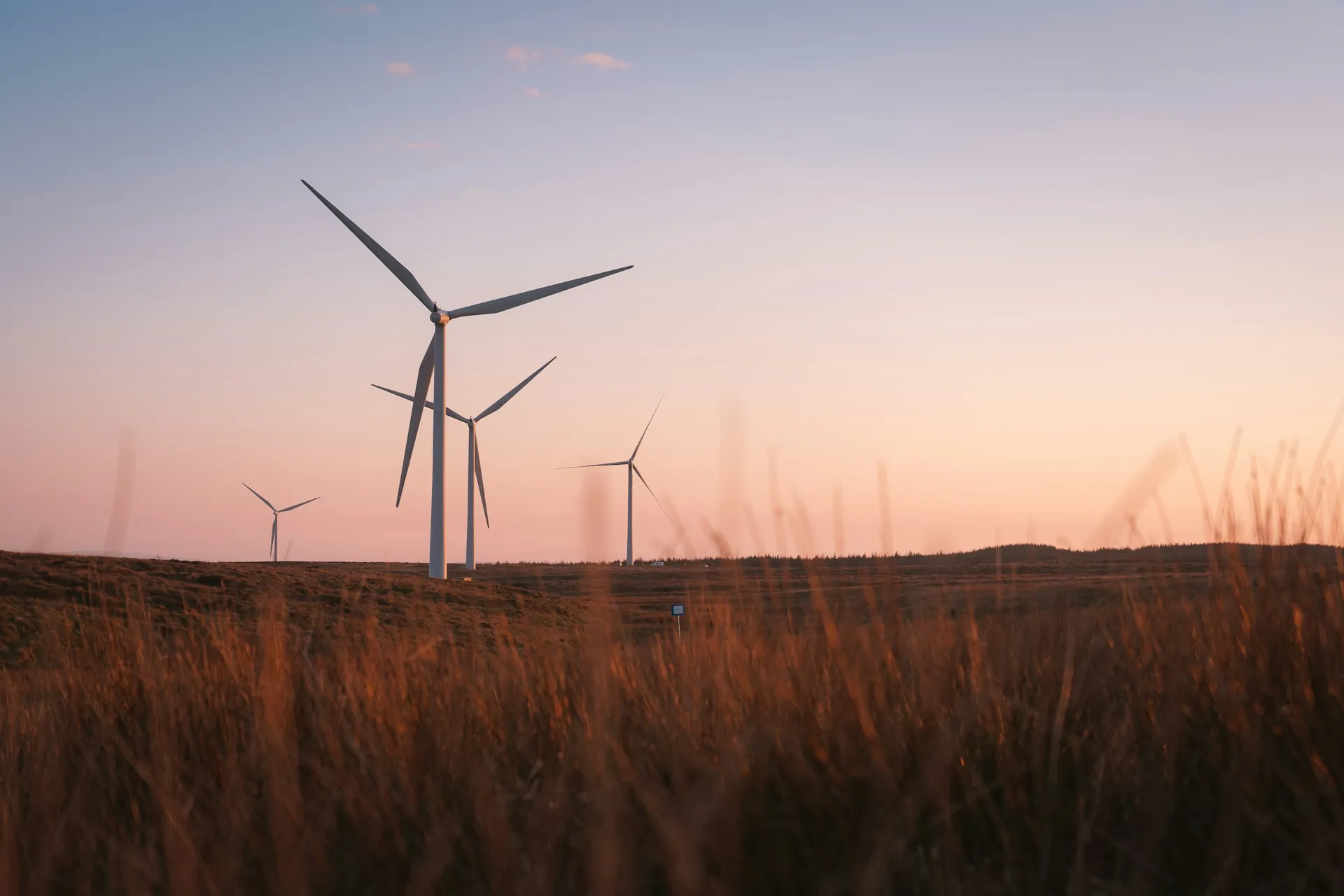 Wind turbines on open grassland at sunset